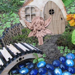Fairy Garden Kit